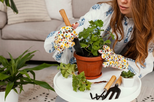 plantas medicinales