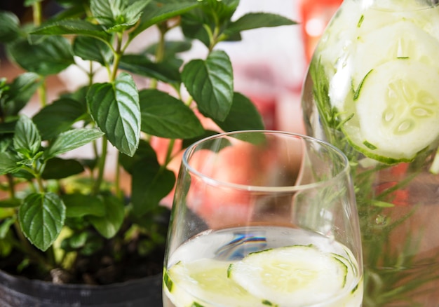 sistema hidropónico con botellas