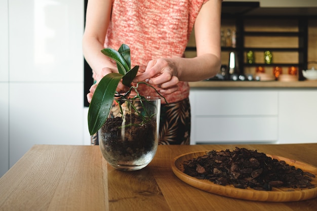 compost casero