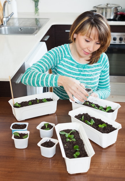 germinar semillas en casa