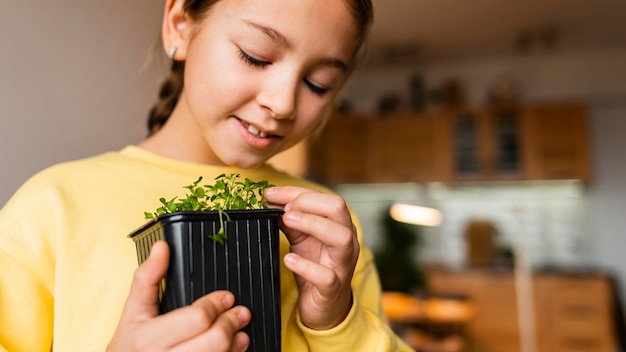 germinar semillas en casa