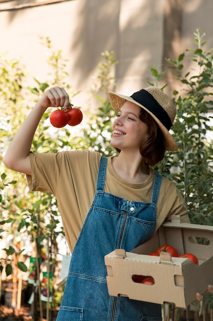 cultivar tomates en casa