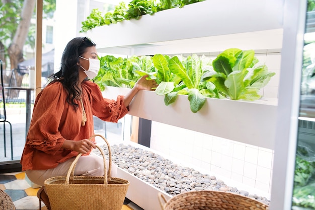 secretos cultivo hidropónico