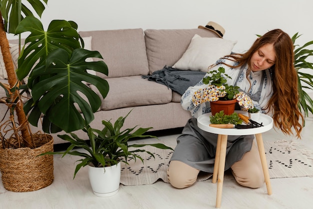 plantas de interior resistentes