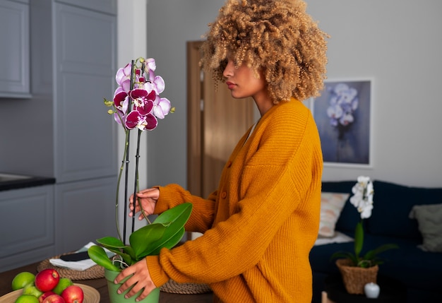 errores cuidar orquídeas