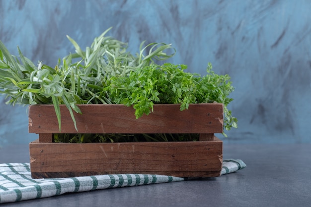 plantas aromáticas cocina