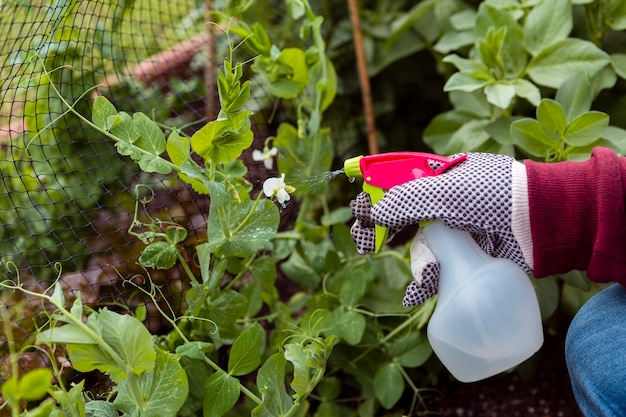trucos contra plagas del jardín