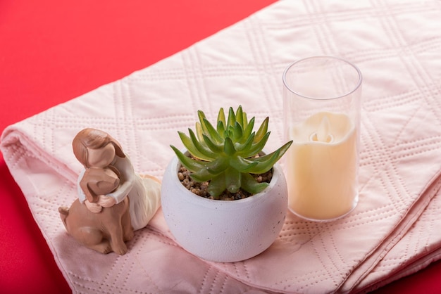beneficios aloe vera